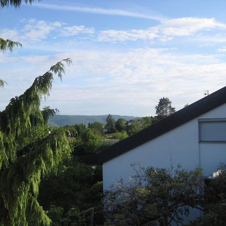 Haus Am Weinberg Appartement Erzingen Buitenkant foto