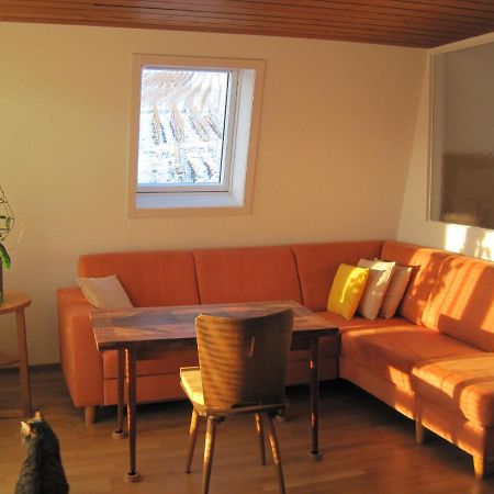 Haus Am Weinberg Appartement Erzingen Buitenkant foto