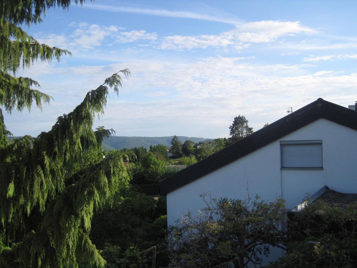 Haus Am Weinberg Appartement Erzingen Buitenkant foto