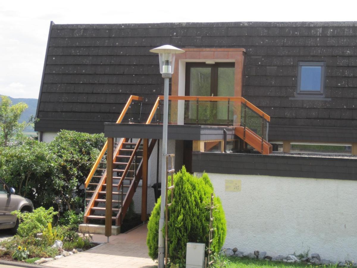 Haus Am Weinberg Appartement Erzingen Buitenkant foto
