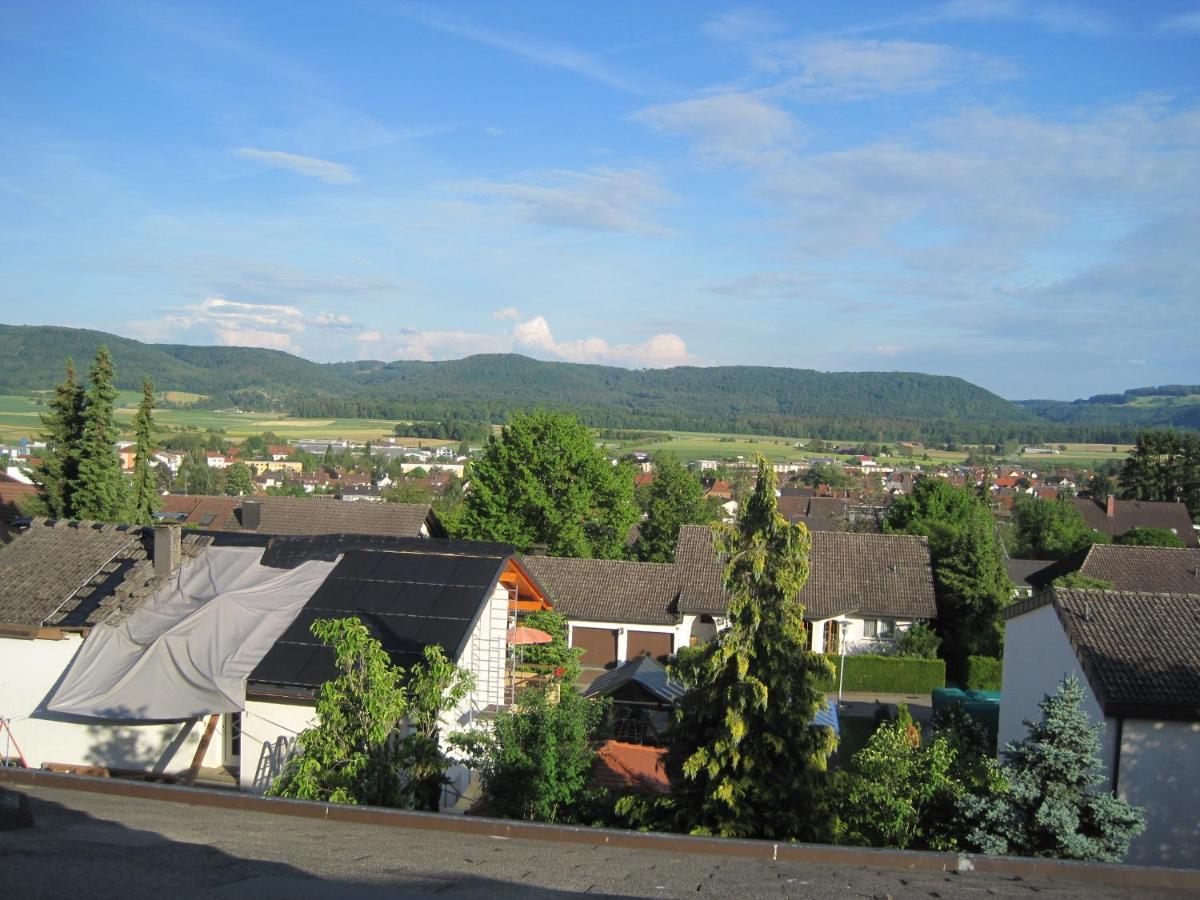 Haus Am Weinberg Appartement Erzingen Buitenkant foto